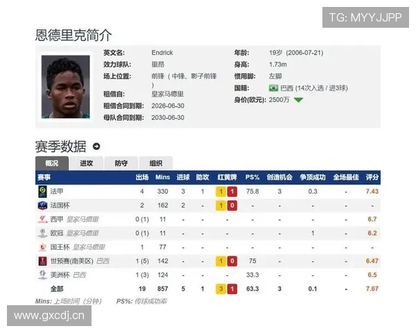 恩德里克在不同体系中的前锋角色适配分析