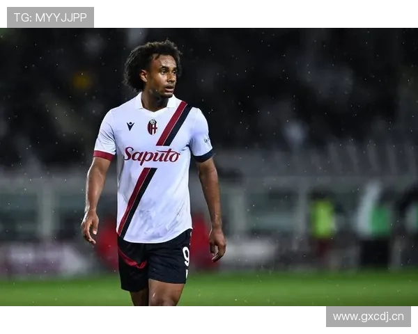 德凯特拉雷布鲁日时期表现稳健，成名轨迹解析