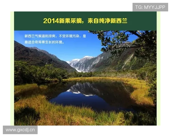 新西兰G组积分预测分析